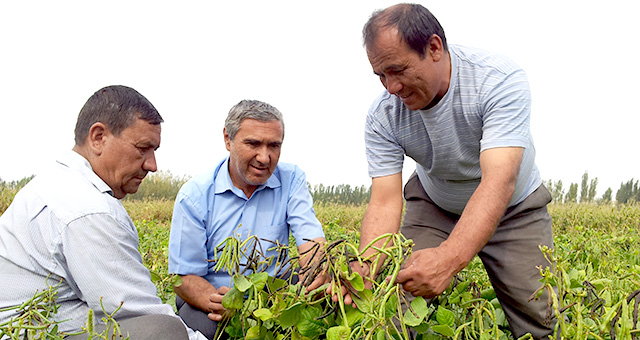 Site farmers in Tashkent dating for Tashkent Uzbekistan